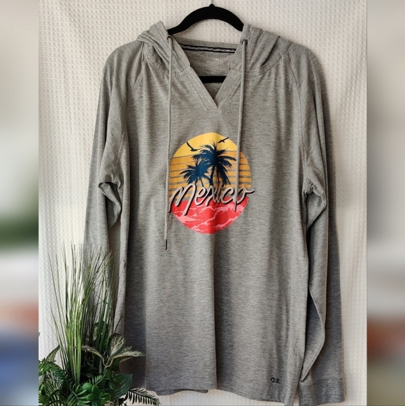 Princess Cruises Mens Gray Mexico Embroidered Pullover Hoodie Size Large - Picture 1 of 6